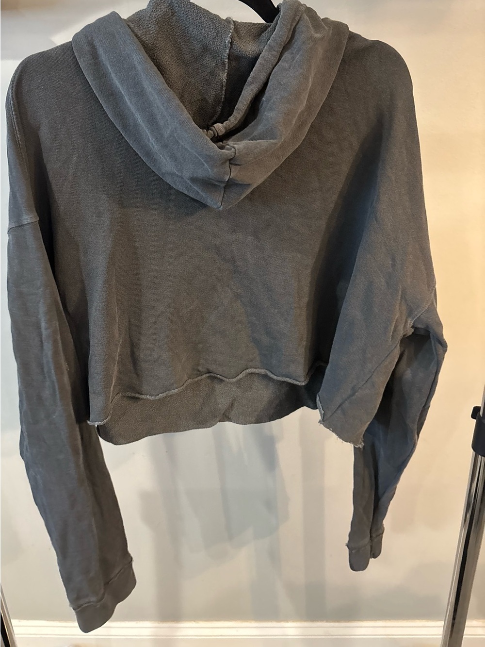 Taylor Hill by Joe's Jeans Washed Gray Cropped Hoodie size Large - Picture 3 of 5